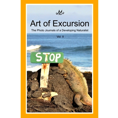 预订 Art of Excursion Vol. 2: 9781329691612