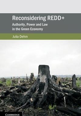 [预订]Reconsidering REDD+ 9781108438346