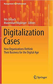 【预售】Digitalization Cases