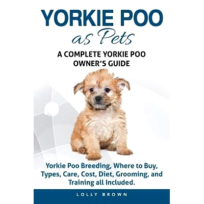 预订 Yorkie Poo as Pets: Yorkie Poo Breeding, Where to Buy, Types, Care, Cost, Diet, Grooming, and Training all Included
