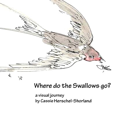预订 Where Do The Swallows Go?: 9781905747405