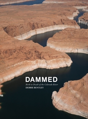 预订 Dammed to Death *诅咒: 9781954119314