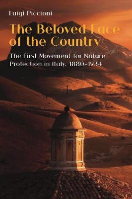 国外库房发货，通常付款后5-8周到货！