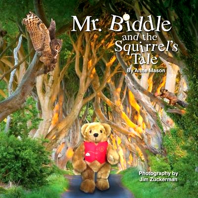 预订 Mr. Biddle and the Squirrel’s Tale: 9780999021088