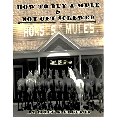 预订 How To Buy A Mule & Not Get Screwed: 9781546414070
