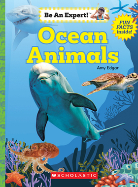 预订 Ocean Animals (Be an Expert!) (Paperback)