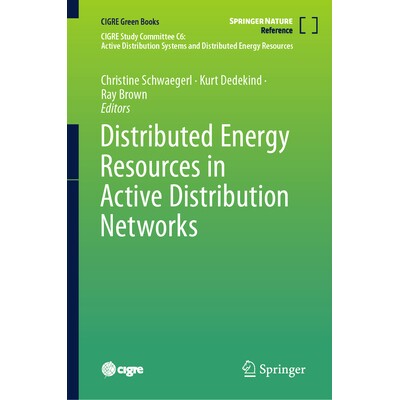 预订 Distributed Energy Resources in Active Distribution Networks 主动配电网络的分布式能源资源 9783030913663