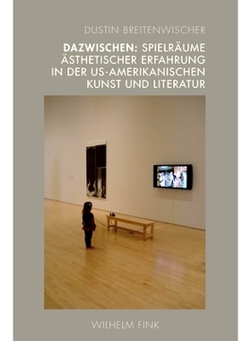 预订 Dazwischen: Spielräume ästhetischer Erfahrung in der US-amerikanischen Kunst und Literatur 美国艺术与文学审美体验