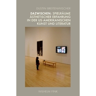 Dazwischen 预订 amerikanischen Literatur ästhetischer und Spielräume 美国艺术与文学审美体验 Erfahrung Kunst der