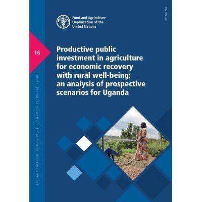 预订 Productive public investment in agriculture for economic recovery with rural well-being 农业生产性公共投资以促进经