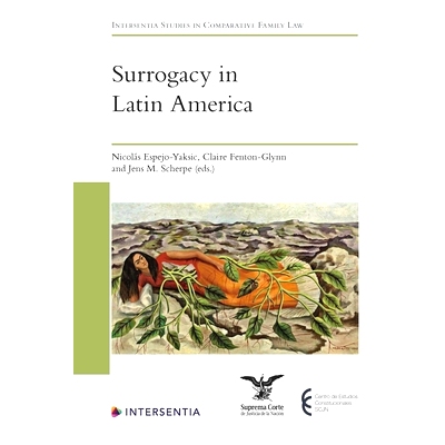 预订 Surrogacy in Latin America 拉丁美洲的代孕: 9781839703256