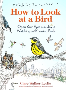 预订 How to Look at a Bird: Open Your Eyes to the Joy of Watching and Knowing Birds