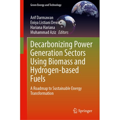 预订 Decarbonizing Power Generation Sectors Using Biomass and Hydrogen-Based Fuels A Roadmap to Sustainable Energy Trans
