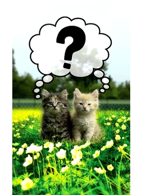 预订 Discrete Password Logbook: 