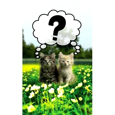 预订 Discrete Password Logbook: 