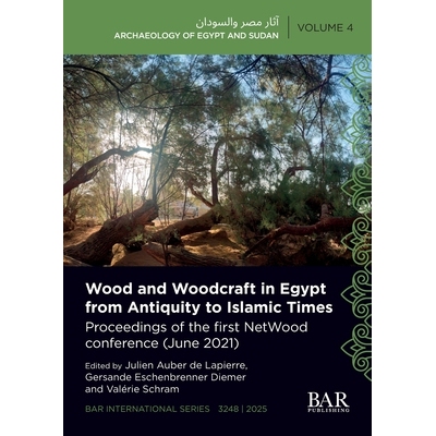 预订 Wood and Woodcraft in Egypt from Antiquity to Islamic Times Proceedings of the first NetWood conference (June 2021)
