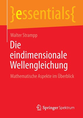 预订 Die eindimensionale Wellengleichung - 实物图