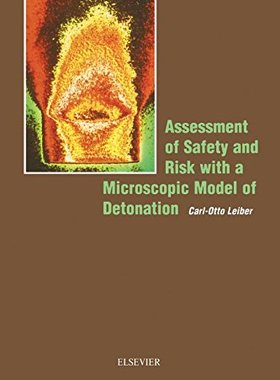 【预订】Assessment of Safety and Risk with a Microscopic Model of Detonation