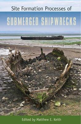 [预订]Site Formation Processes of Submerged Shipwrecks 9780813061627 书籍/杂志/报纸 科学技术类原版书 原图主图