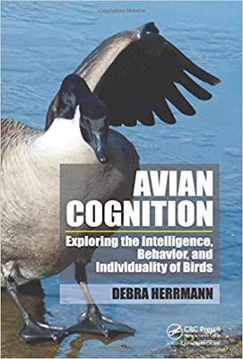 【预售】AvianCognition