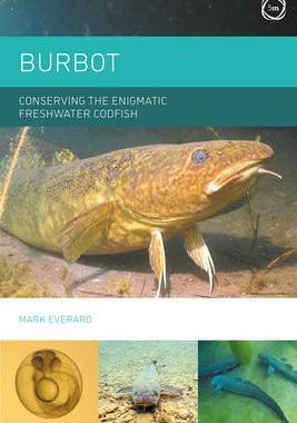 [预订]The Burbot: Conserving the Enigmatic Freshwater Codfish 9781789181456