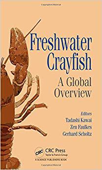 【预售】Freshwater Crayfish