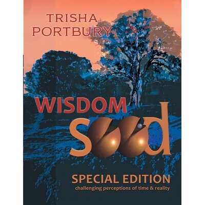 预订 Wisdom Seed: Challenging Perceptions of Time and Reality (Special Edition) 9798886153316
