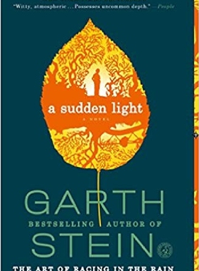 【预订】A Sudden Light