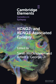 【预订】KCNQ2- and KCNQ3-Associated Epilepsy 9781009278263