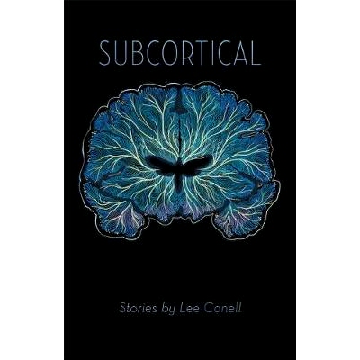 预订 Subcortical 皮层下: 9781421424224
