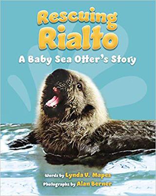 【预售】Rescuing Rialto: A Baby Sea Otter’s Story
