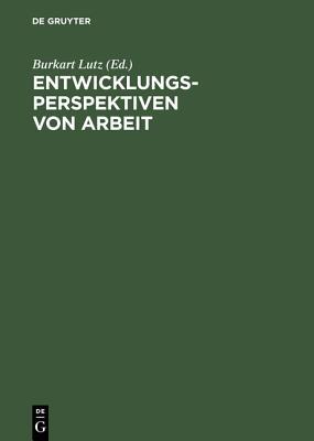 【预订】Entwicklungsperspektiven von Arbeit 9783050035987