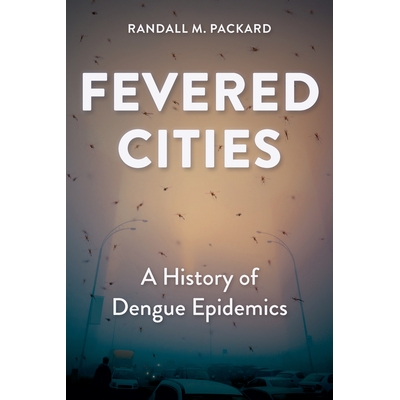 A History of Dengue Epidemics