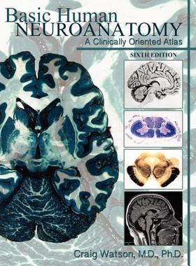 预订 Basic Human Neuroanatomy: A Clinically Oriented Atlas