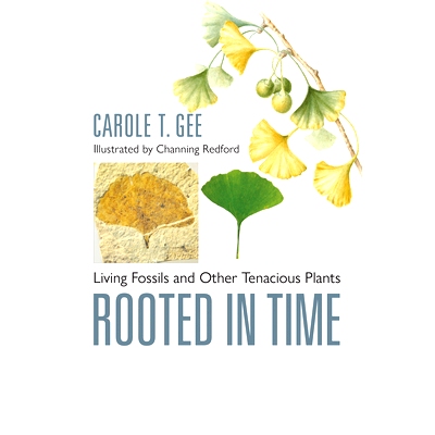预订 Rooted in Time: Living Fossils and Other Tenacious Plants 根植于时间：活化石和其他顽强的植物: 9781421449388