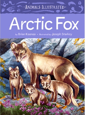 预订 Animals Illustrated: Arctic Fox 动物画报：北极狐: 9781772274851