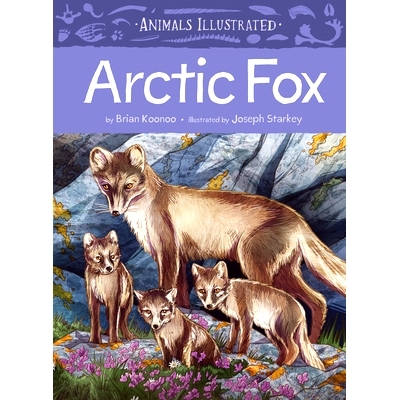 预订 Animals Illustrated: Arctic Fox 动物画报：北极狐: 9781772274851
