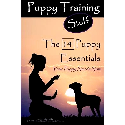 预订 Puppy Training Stuff The 14 Puppy Essentials: Your Puppy Needs Now: 9781537735245
