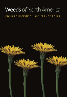 【预订】Weeds of North America 9780226076447