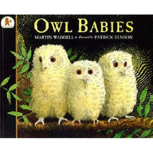 预订 Owl Babies 猫头鹰宝宝: 9780744563139