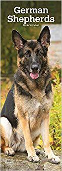 【预售】German Shepherds 2020 Slim Calendar