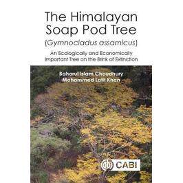 预订 The Himalayan Soap Pod Tree (Gymnocladus Assamicus)