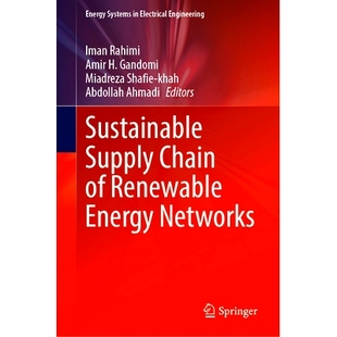 Renewable Sustainable Chain 可持续供应链 9789819649396 Networks 预订 Energy Supply 可再生能源网络