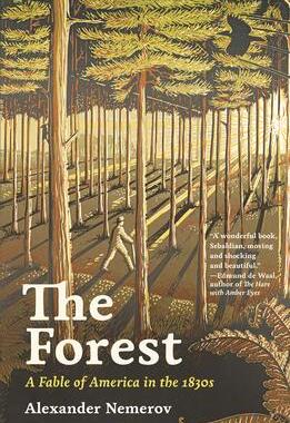 The Forest 9780691244280