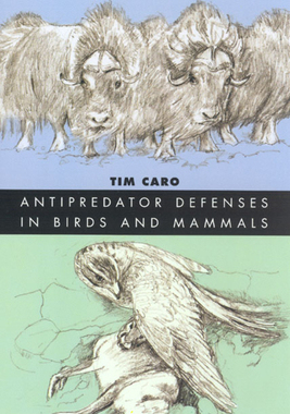 【预订】Antipredator Defenses in Birds and Mammals 9780226094366