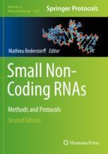 【预订】Small Non-Coding RNAs 9781071613887
