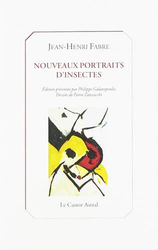 新昆虫肖像画 法布尔 昆虫记 Pierre Zanzucchi绘 法语原版 Nouveaux portraits d’insectes Jean-Henri Fabre