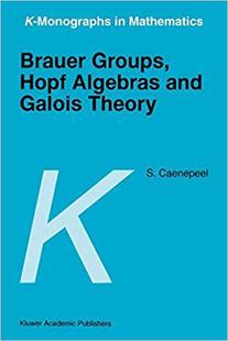 Groups Hopf Theory 预订 9781402003462 Galois Brauer and Algebras