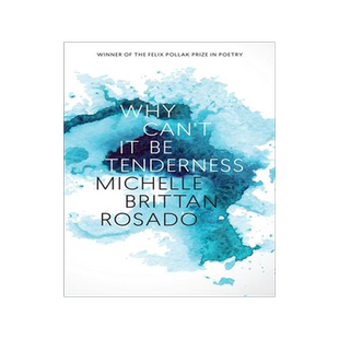 [预订]Why Can’t It Be Tenderness 9780299319946