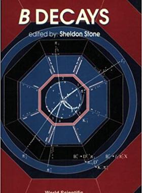 【预售】B Decays